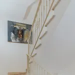 Pet Friendly סן בנדטו דל טרנטו